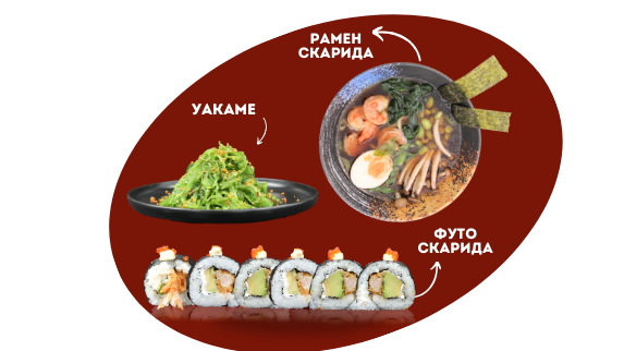 РАМЕН СКАРИДА СЕТ